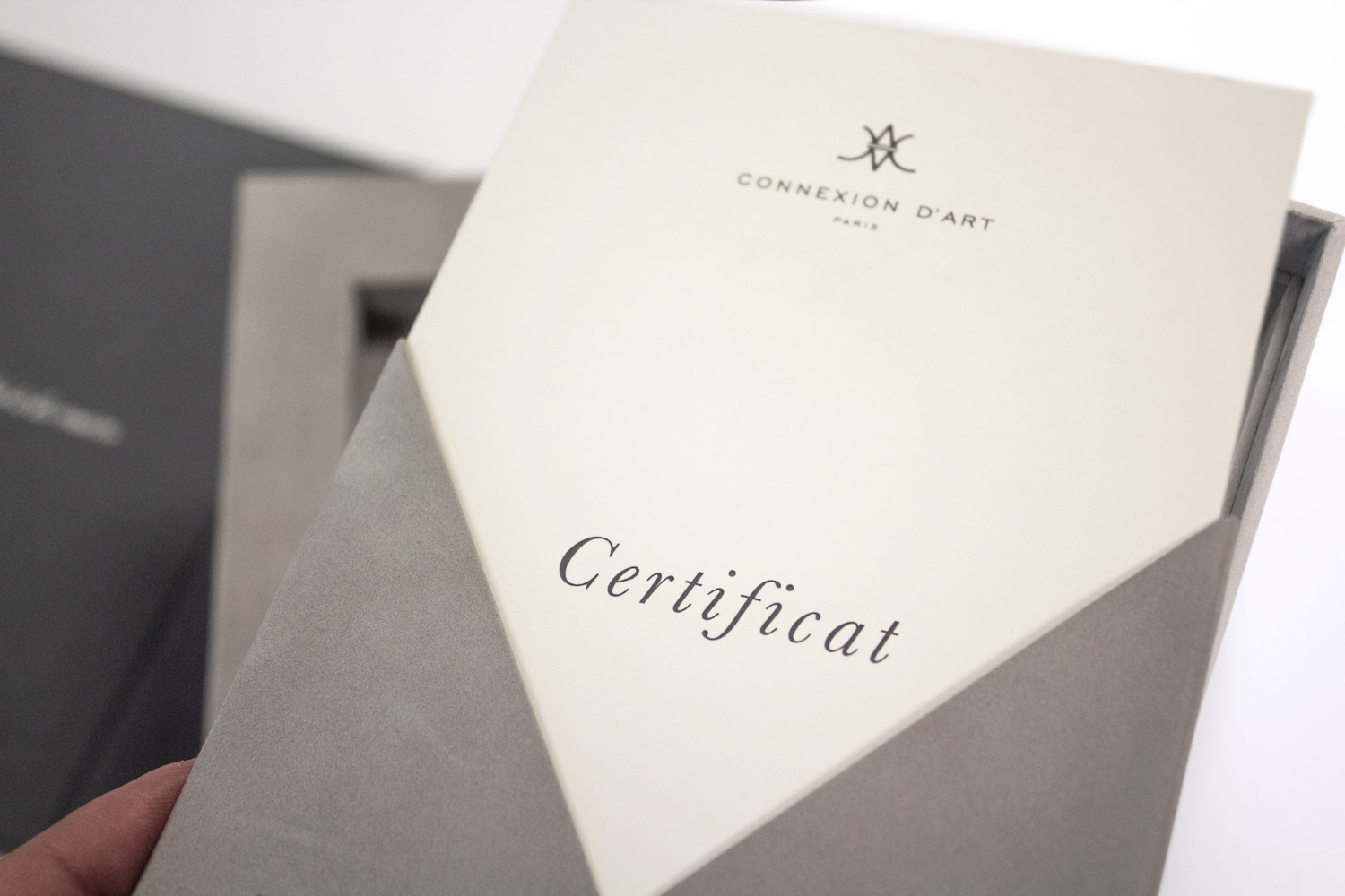Caixa Connexion D'art