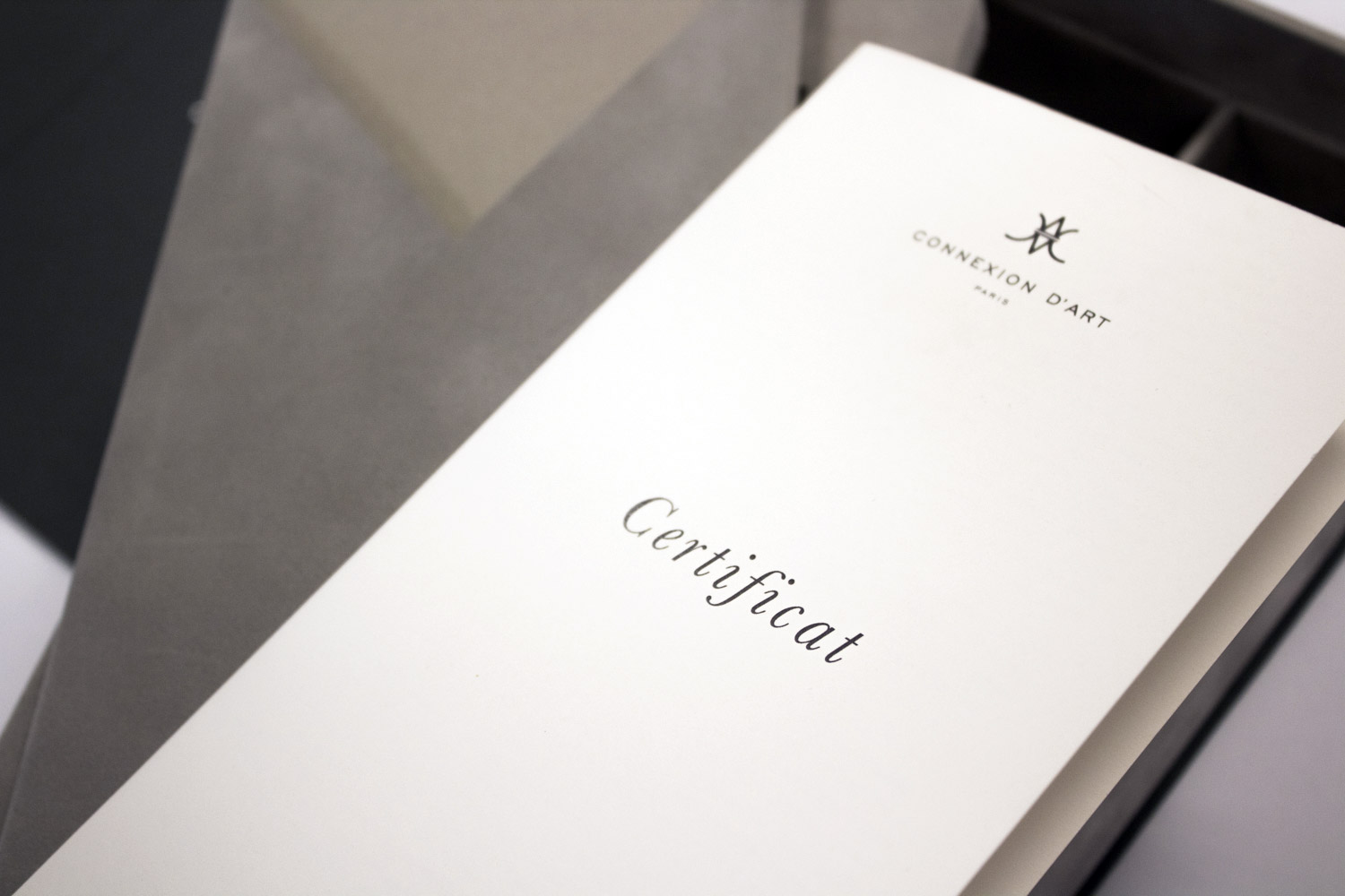 Caixa Connexion D'art