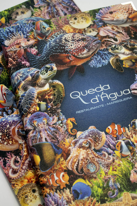 Ementa Queda D'água