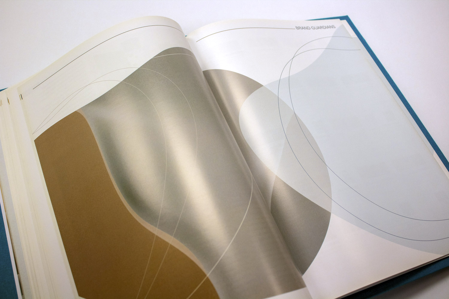 Caixa/Livro Superbrands 2022