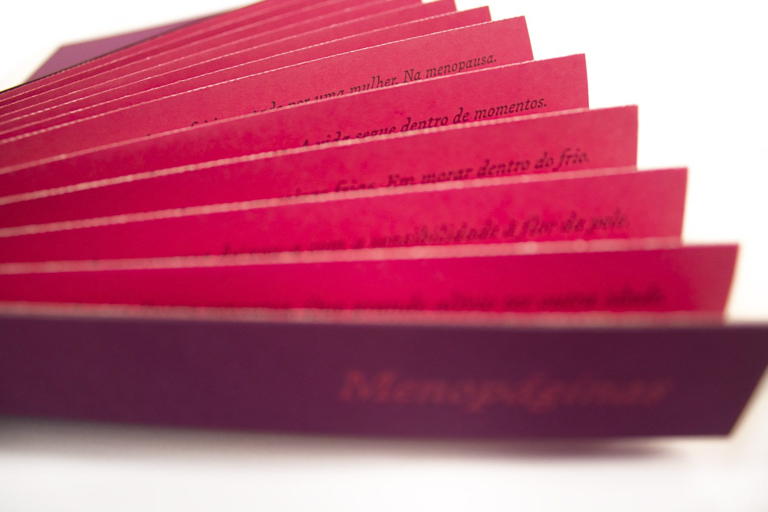 Caixa Monofolhas e Leque Star Life